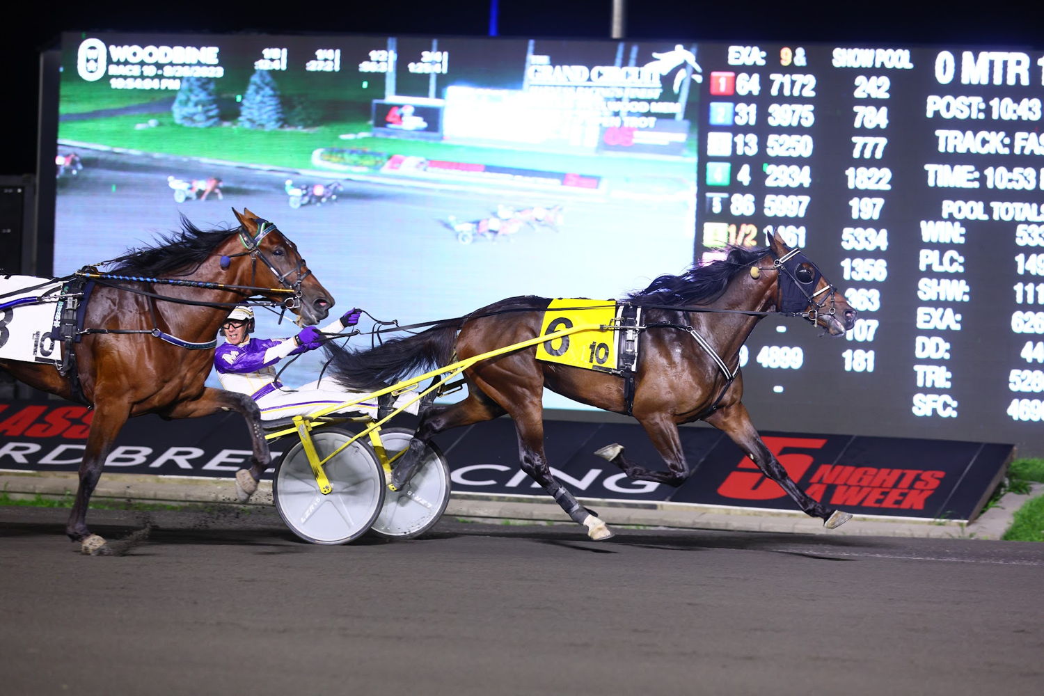 T C I winning the Wellwood Memorial on August 26. (New Image Media)