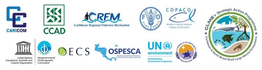 The eight organisations which are expected to sign the agreement.