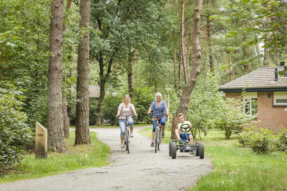Fiets_01_98603