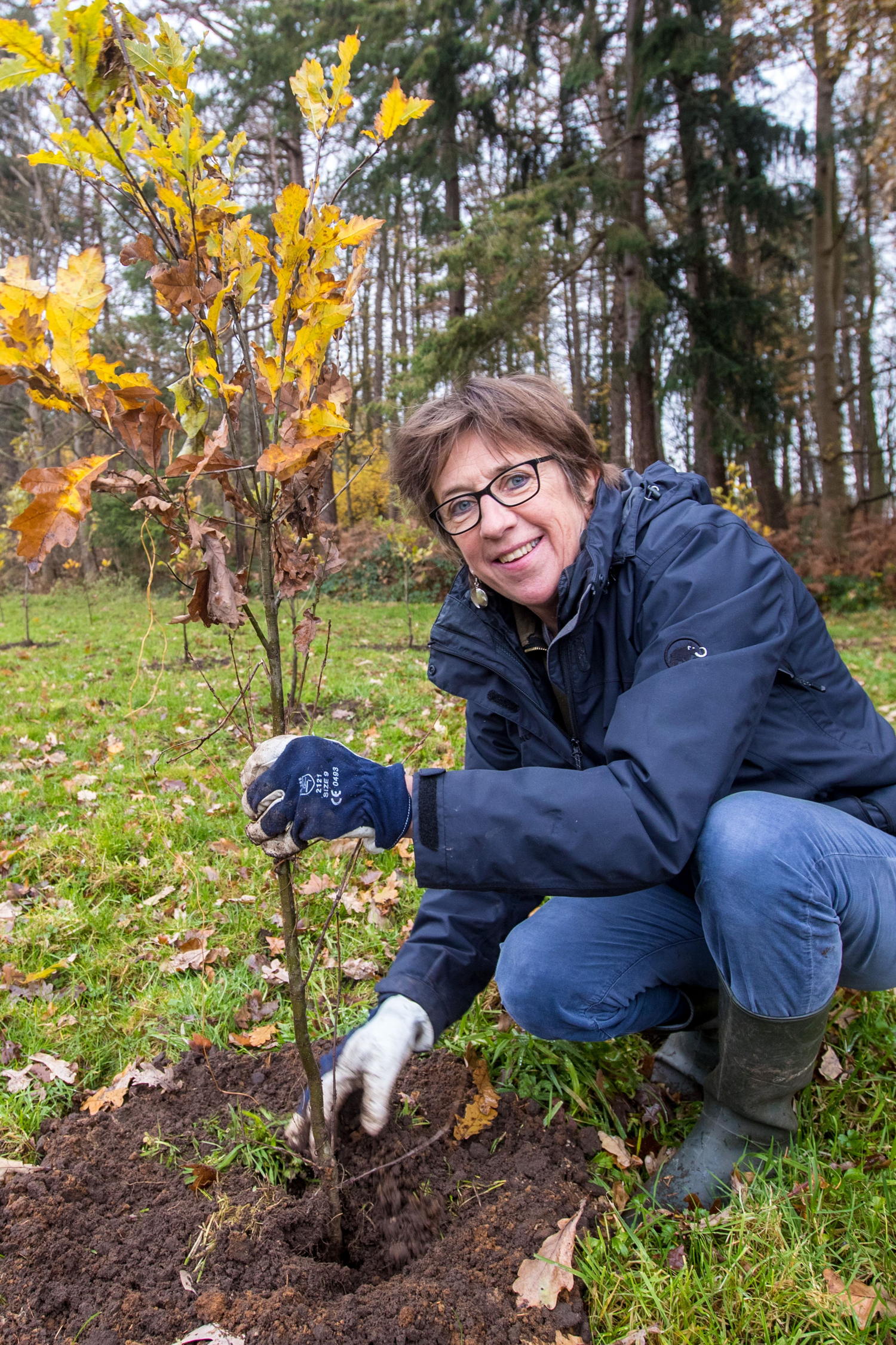 Gedeputeerde Riet Gillis, bevoegd voor Natuur, plant een boom.

Copyright Lieven Van Assche