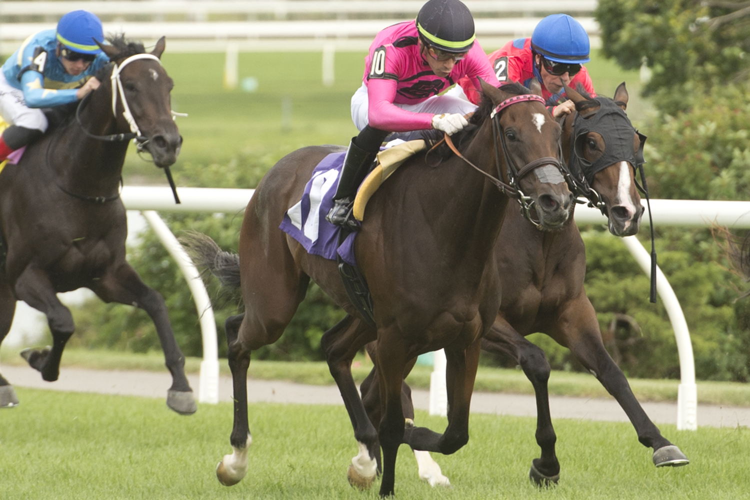 Arashi and jockey Emma-Jayne Wilson winning Race 7 on August 13, 2023 at Woodbine (Michael Burns Photo)