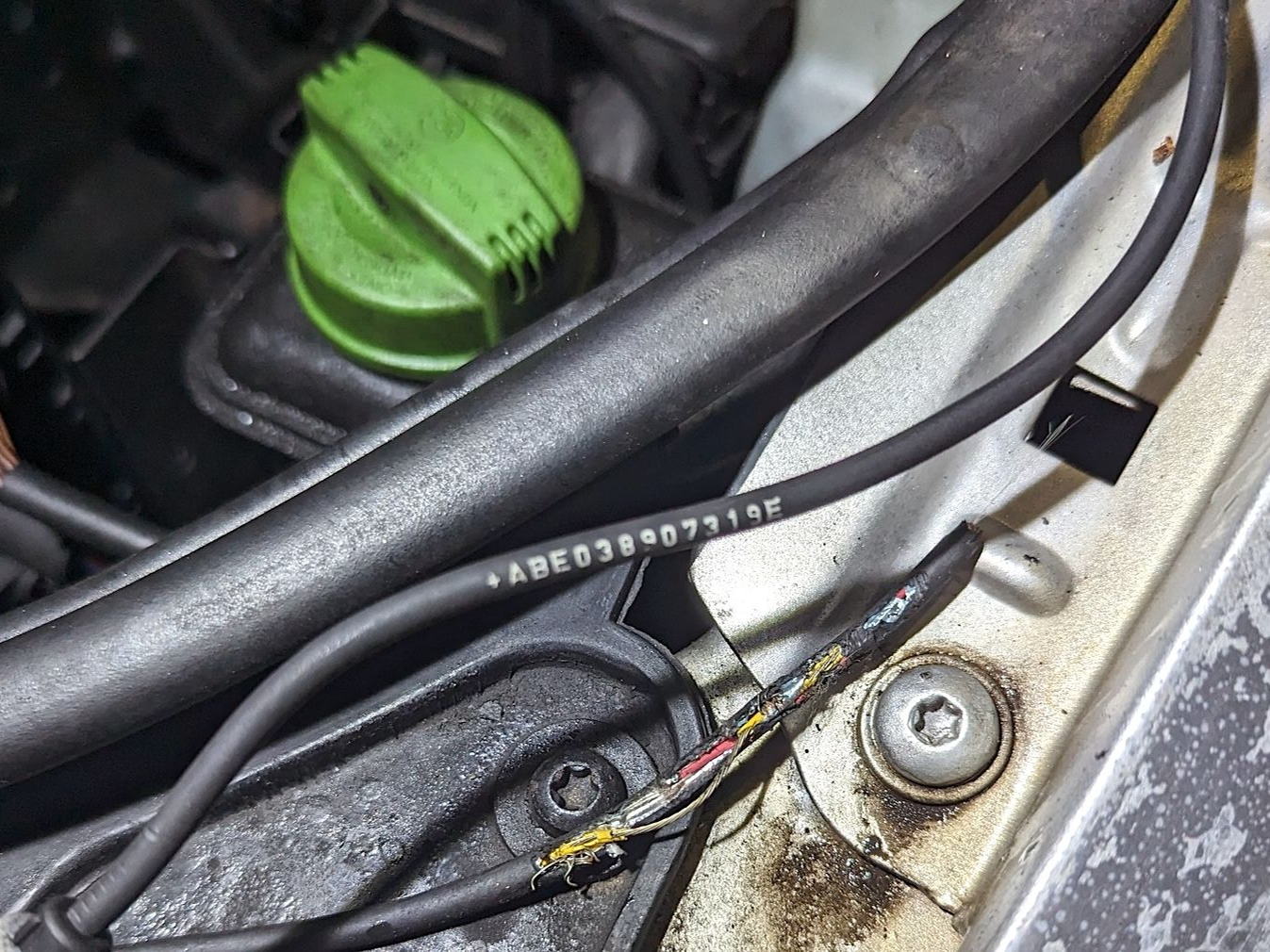 RAC declares 2023 the ‘unofficial year of the rat’ after record number of rodents wreak havoc on cars