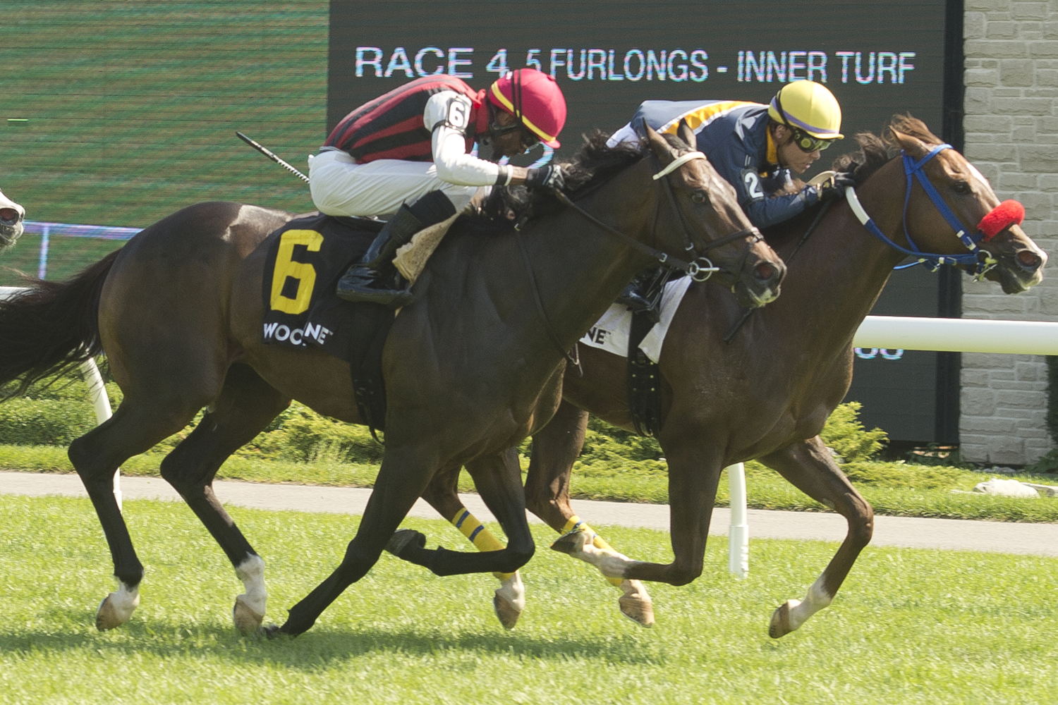 Forester’s Fortune and jockey Daisuke Fukumoto winning the Vice Regent Stakes, Saturday at Woodbine. (Michael Burns Photo)