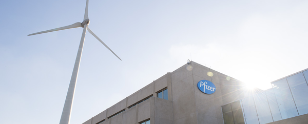 Pfizer Puurs zoekt 250 nieuwe werknemers