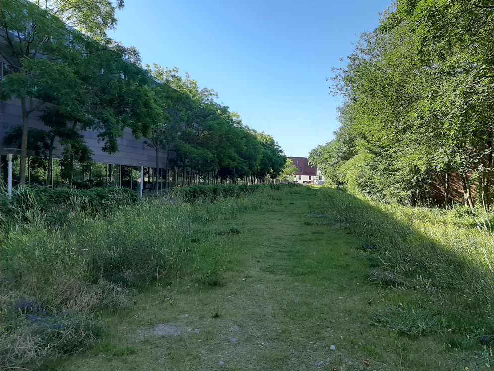 Leuven richt als eerste Vlaamse stad Community Land Trust op