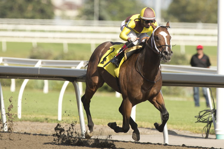  Rondure wins the Marine Stakes (G3) on Saturday at Woodbine. (Michael Burns Photo)