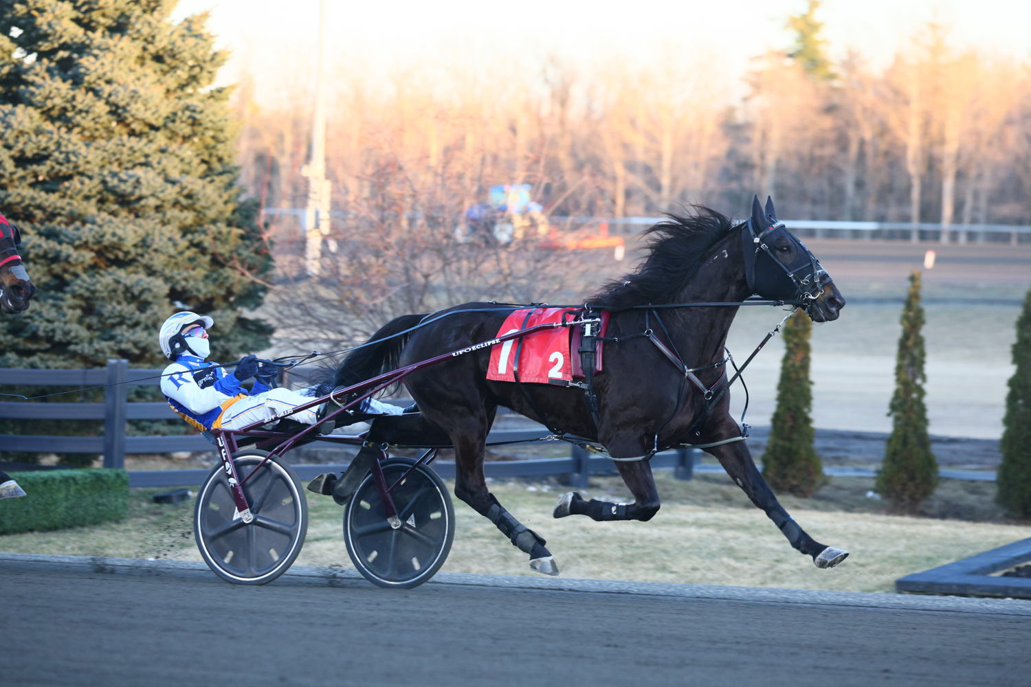Fashion Frenzie and Louis-Philippe Roy winning the second leg of the 2025 New Holland Trotting Series at Woodbine Mohawk Park (New Image Media)