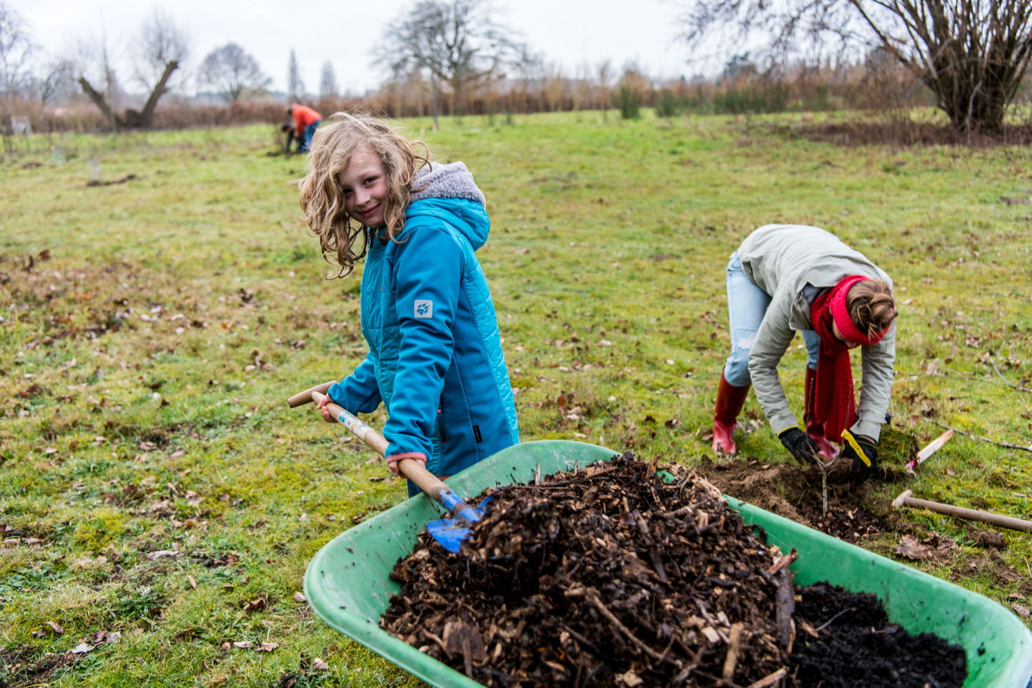 Aanplanting voedselbos © Dries Luyten