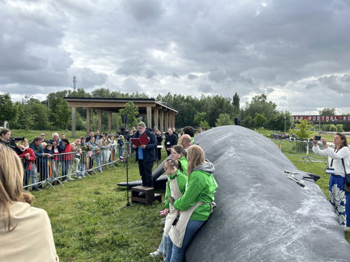 ©IOBZ SW_Wij zijn de Walvis - Kortrijk 2025 ©IOBZ SW_Wij zijn de Walvis - Kortrijk 2025