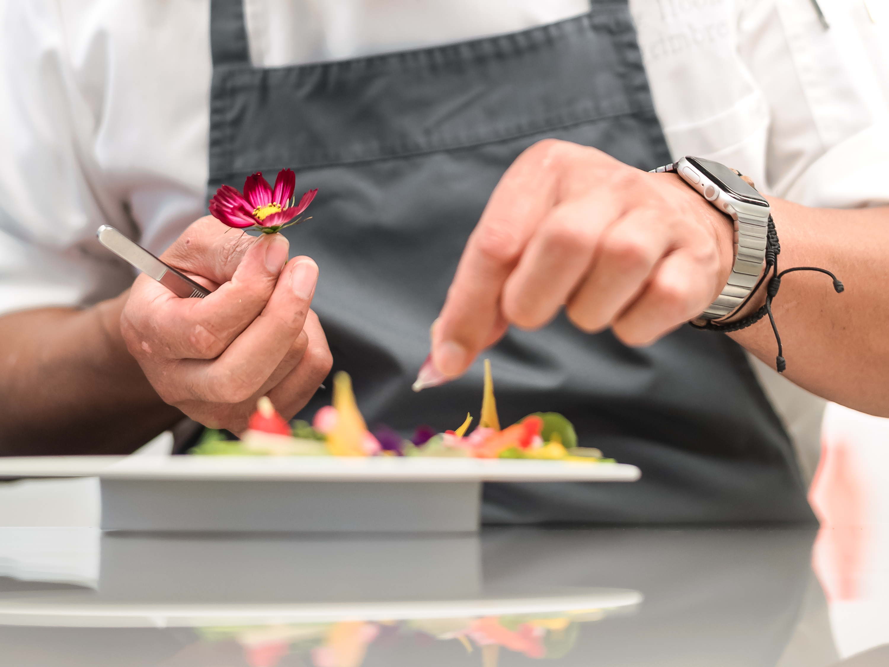 Internationale Spitzenköche verraten in ihrem neuen Kochbuch "Radilicious" ihre Geheimnisse rund um das Kochen mit Gemüse