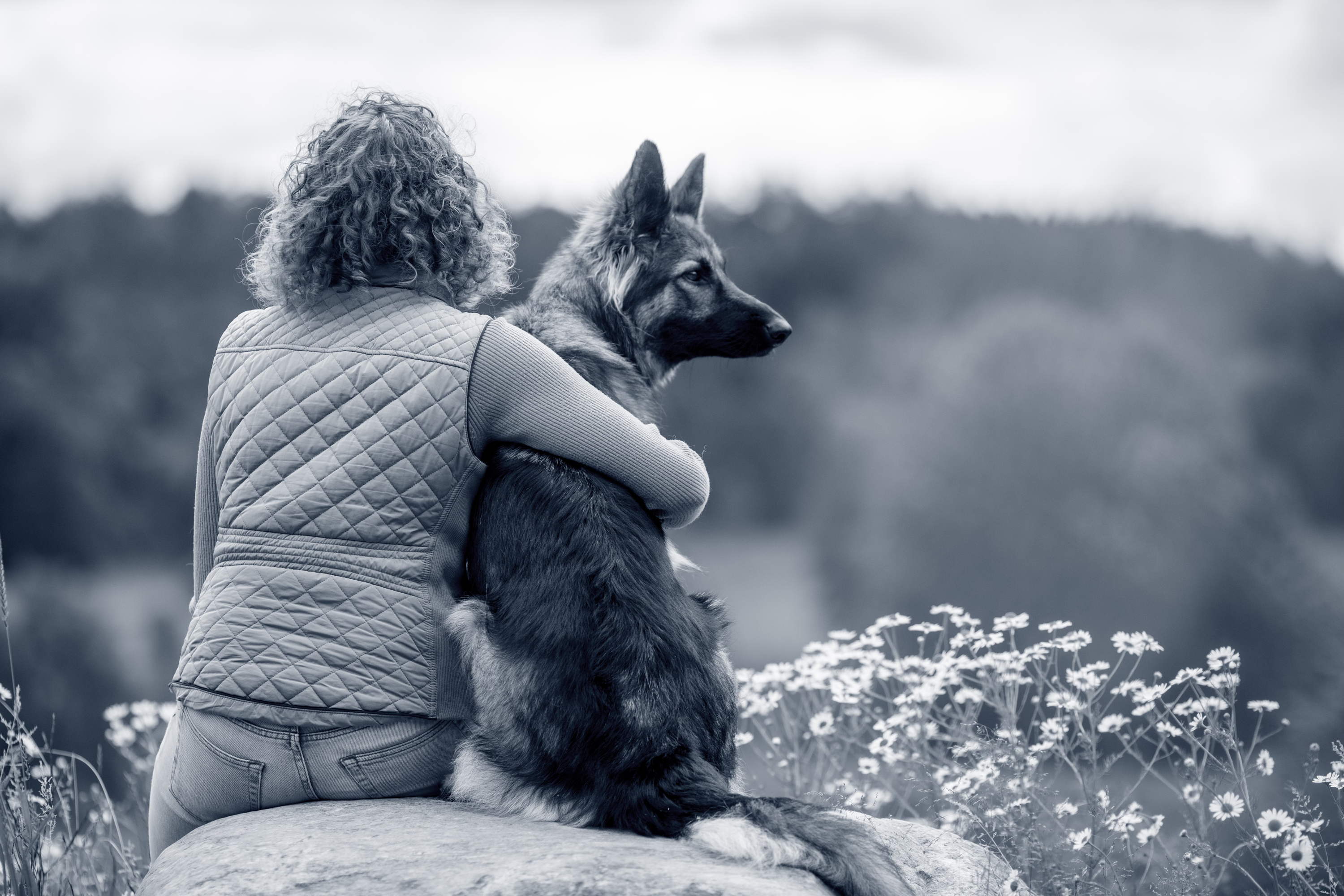 En vacances avec votre animal de compagnie ? Un maître sur 4 ne connaît pas les règles.