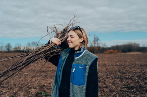 Campagne de plantation d'arbres