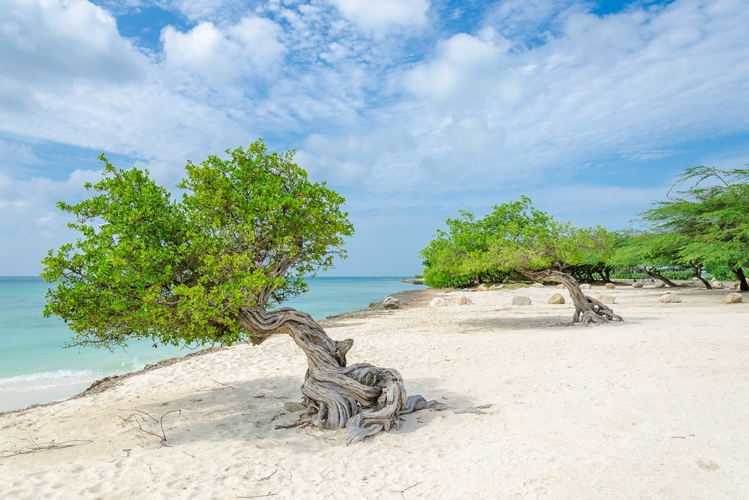 Aruba