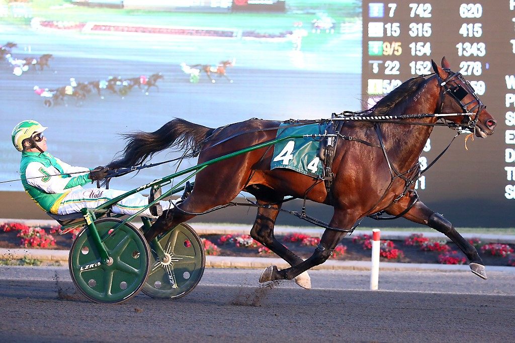 Bulldog Hanover (New Image Media)