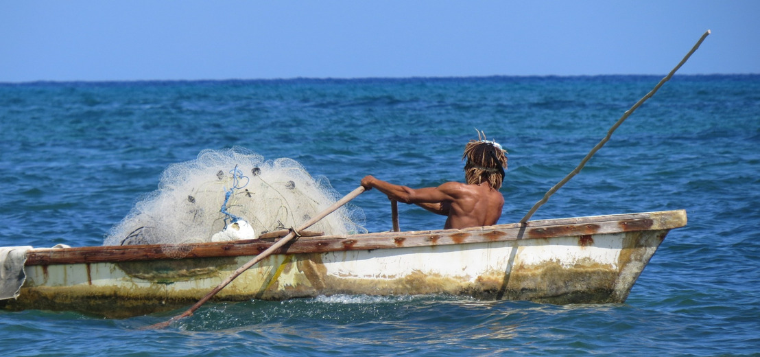 OECS Fisheries Industry to Benefit from Value Chain Studies