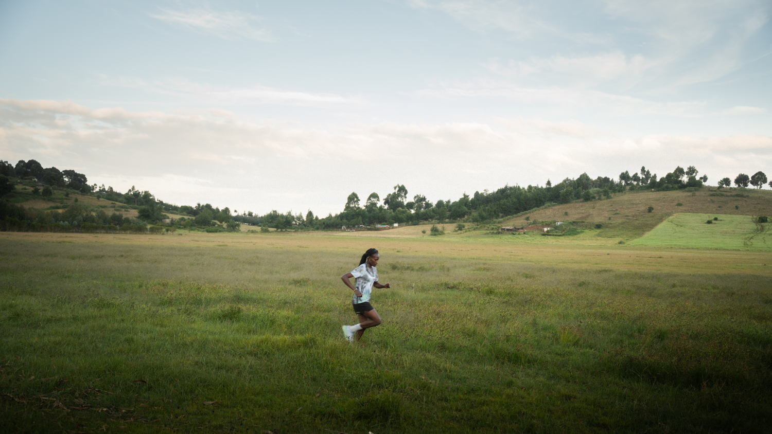 ©Joel Badia Visuals
