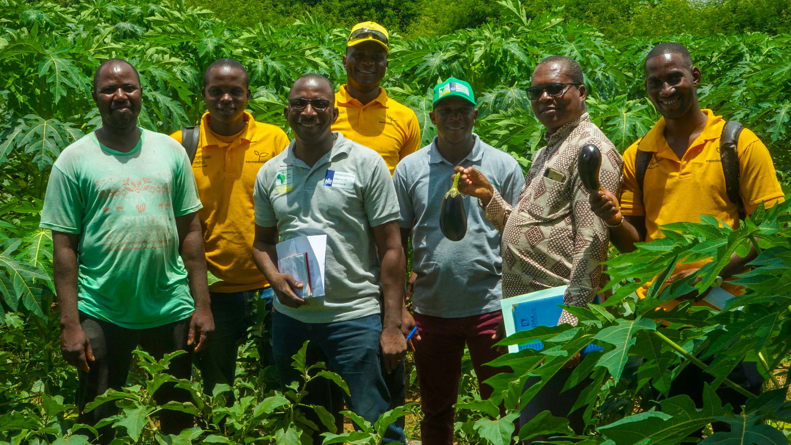 Visit to a field demonstration plot for seed production funded by ISSD-Sahel.