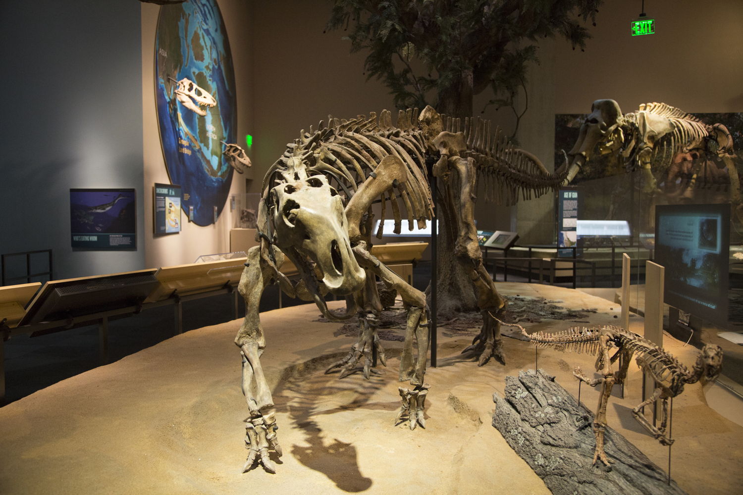 Perot Museum Dallas