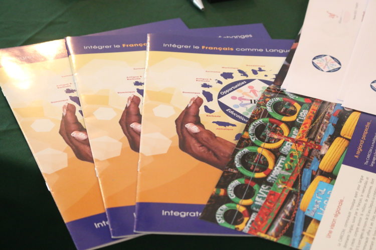 Brochure of the IFLE CARICOM Programme