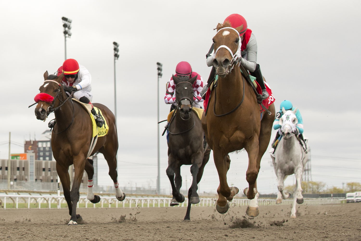 Brindi (IRE) and jockey Sofia Vives winning the Star Shoot Stakes on April 26, 2025 (Opening Day) at Woodbine (Michael Burns Photo)