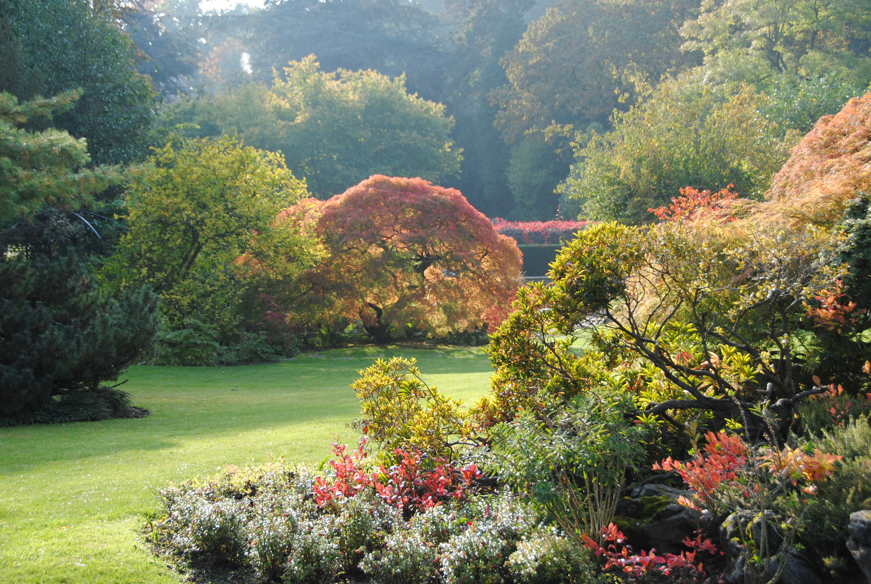 ©van Buuren Museum & Gardens