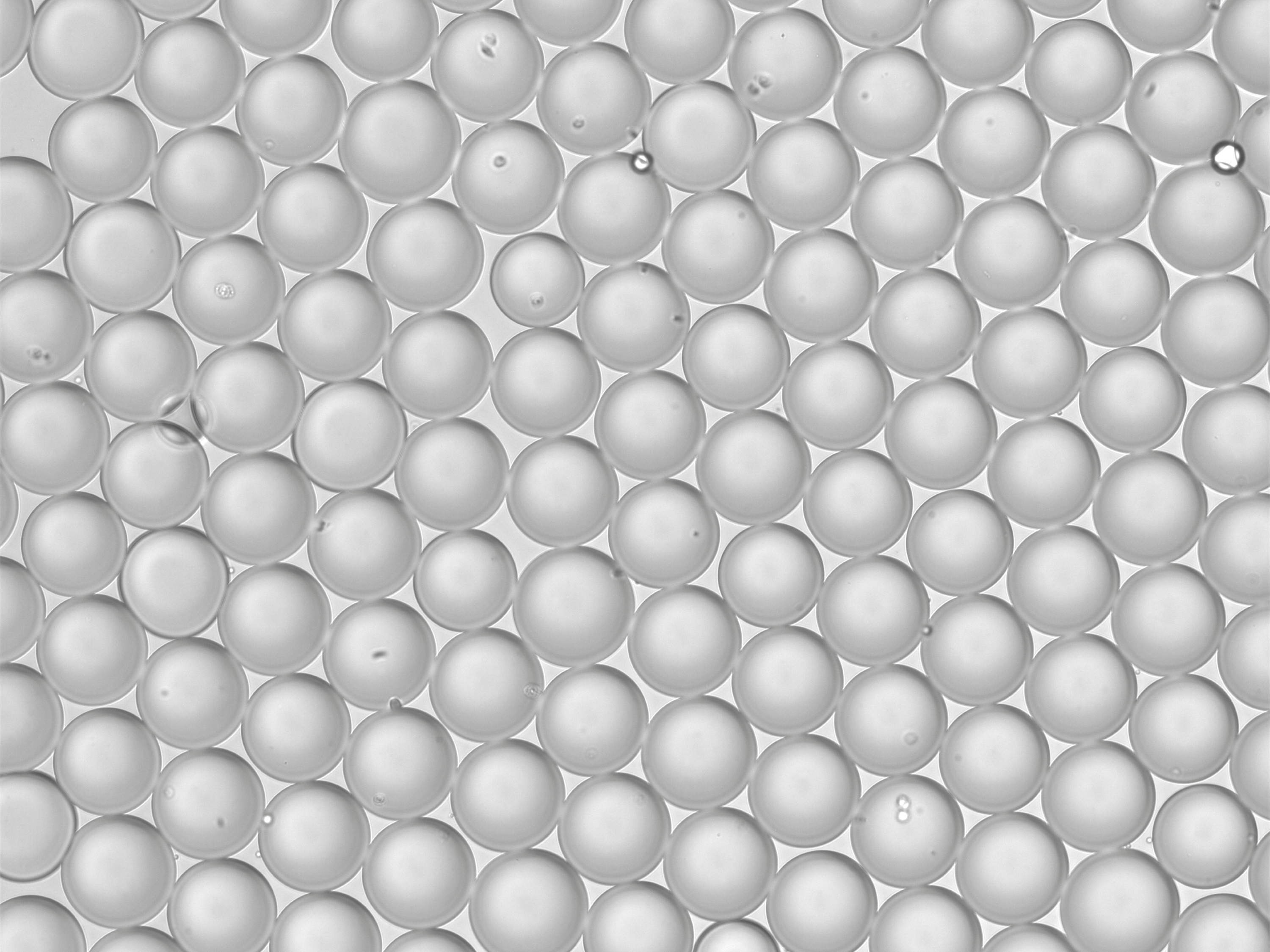 Kunnen we single-cell technologie toegankelijker maken?