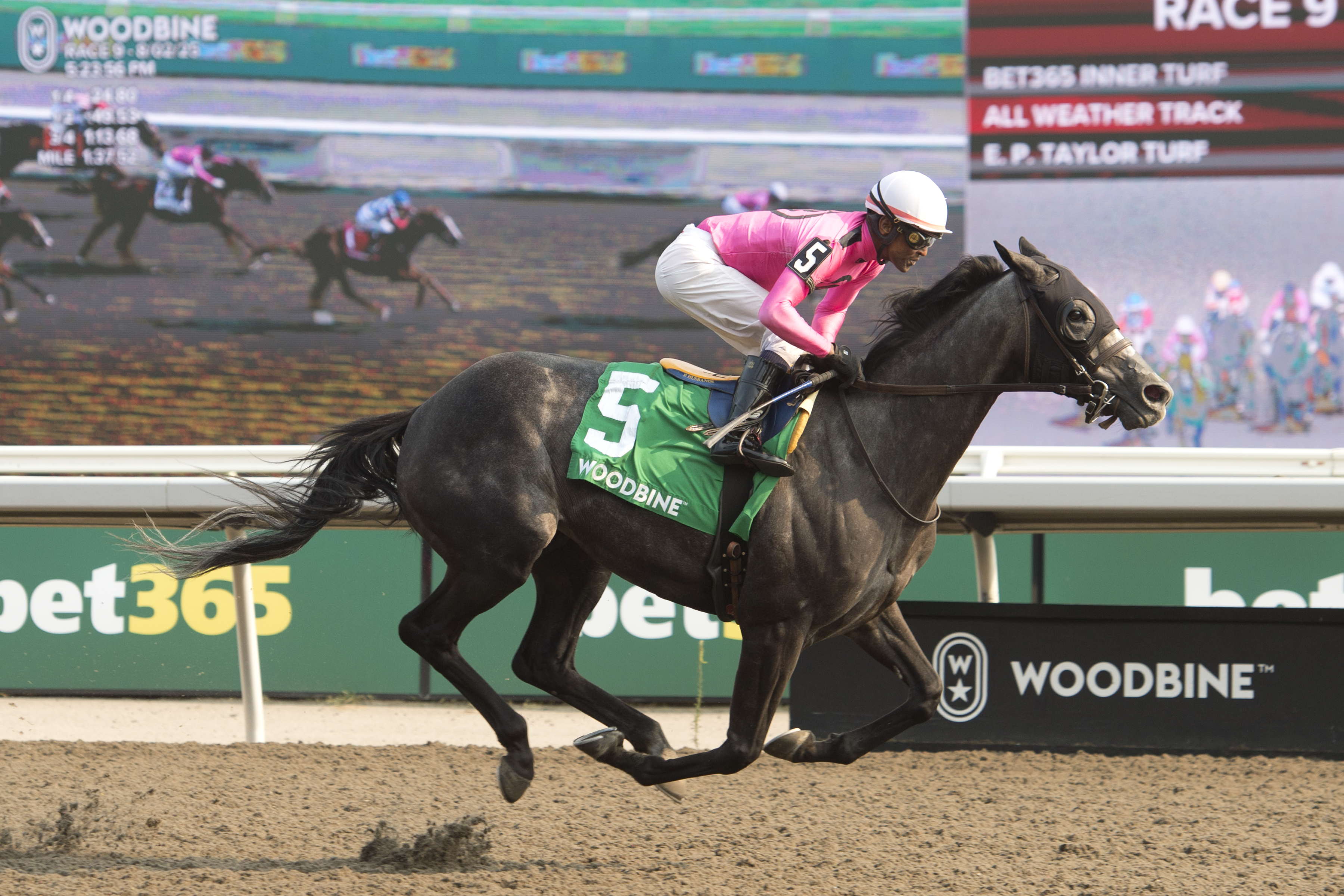 Swift Delivery beats august group, notches first stakes win in Seagram Cup (G3)