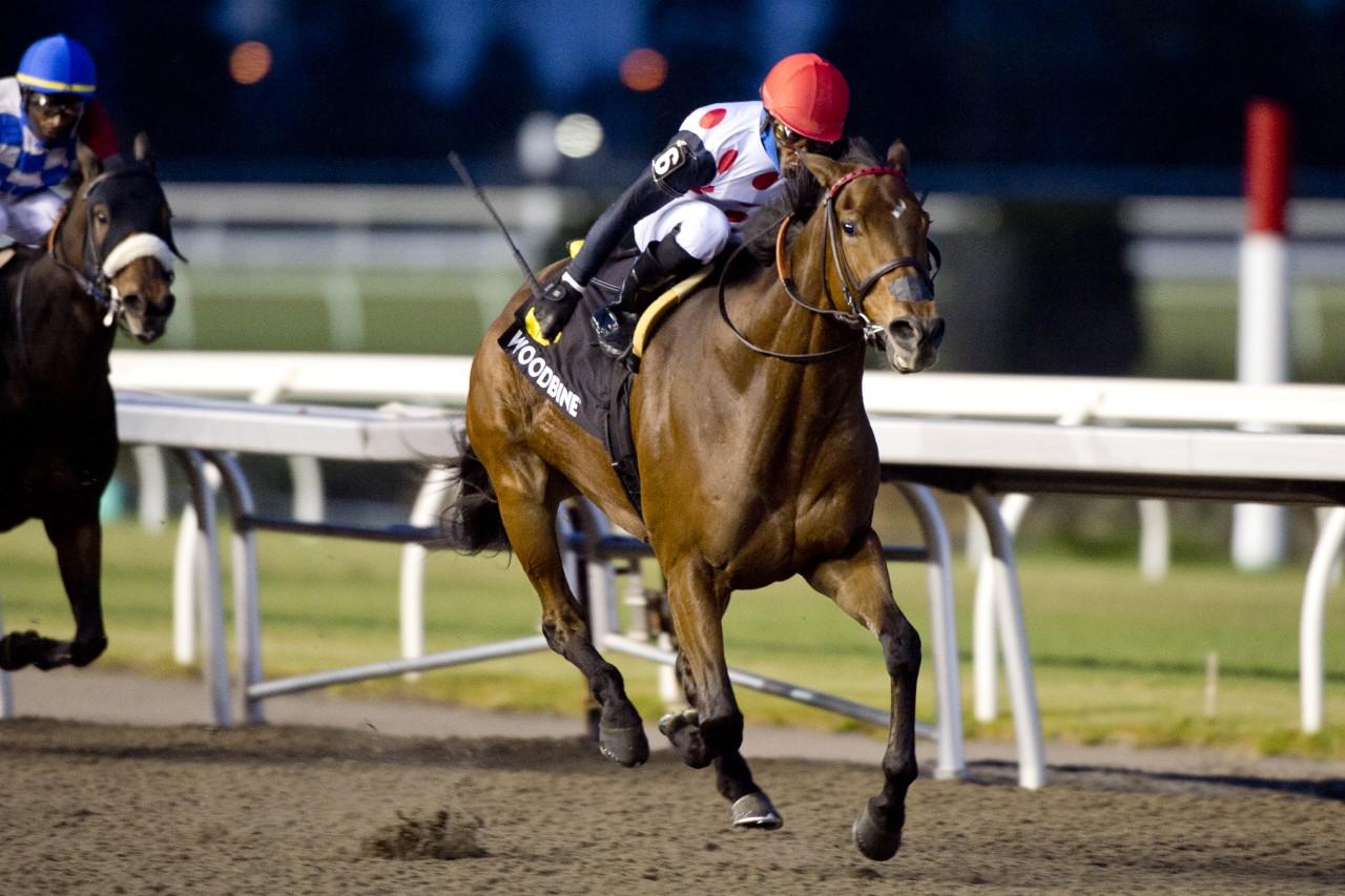 Our Flash Drive and jockey Patrick Husbands winning the Bessarabian Stakes on Saturday at Woodbine (Michael Burns Photo)