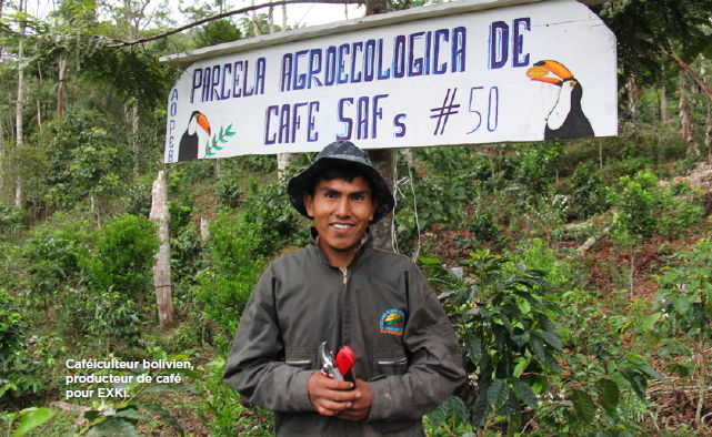 Caféiculteur bolivien, producteur de café pour EXKi.