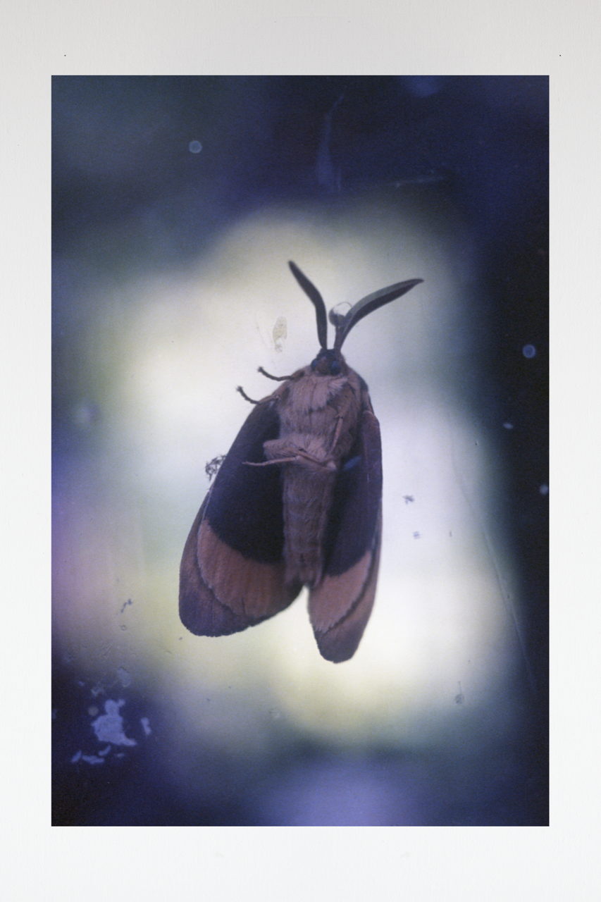 Dries Segers, Inktjet print on Dibond 76 x 114 cm Edition of 7 + 2 A.P. Dries Segers, Inktjet print on Dibond 76 x 114 cm Edition of 7 + 2 A.P.