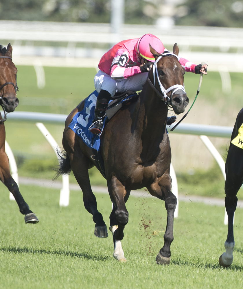 Outlaw Kid and jockey Kazushi Kimura winning the Vice Regent on August 5, 2023 at Woodbine (Michael Burns Photo)